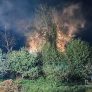 Flammen über den Bäumen