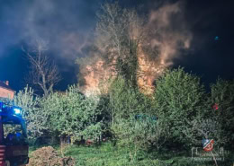 Flammen über den Bäumen