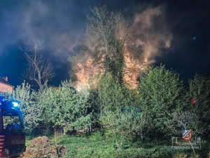 Flammen über den Bäumen